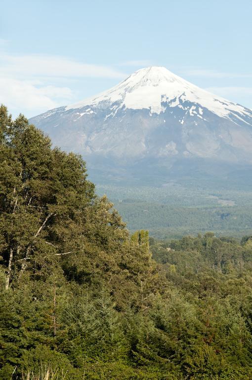 Cabanas Patagonia Lefun Pucón Eksteriør bilde