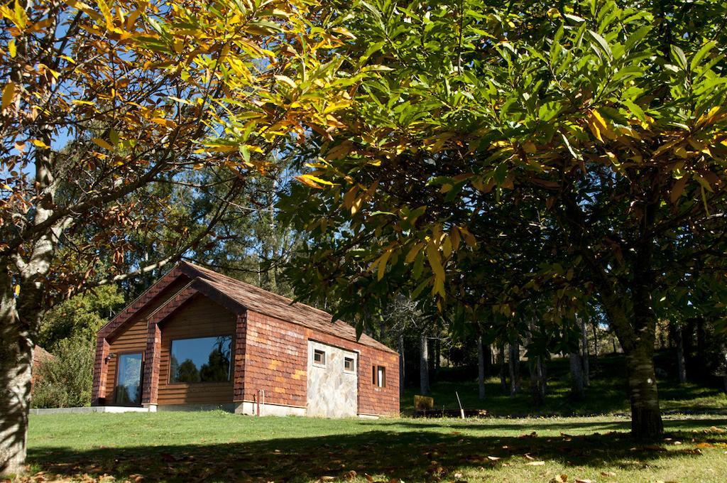 Cabanas Patagonia Lefun Pucón Eksteriør bilde